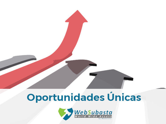 Oportunidades únicas de WebSubasta