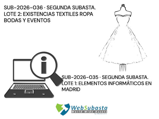 Subasta de Vestuario e Informática