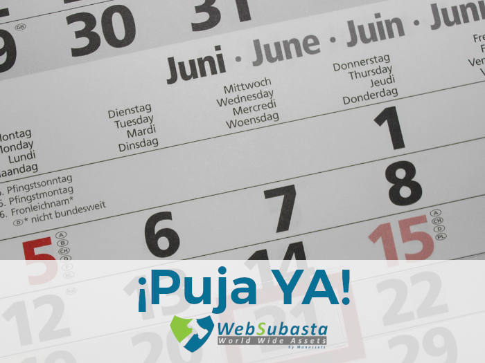 No dejes para más tarde la puja