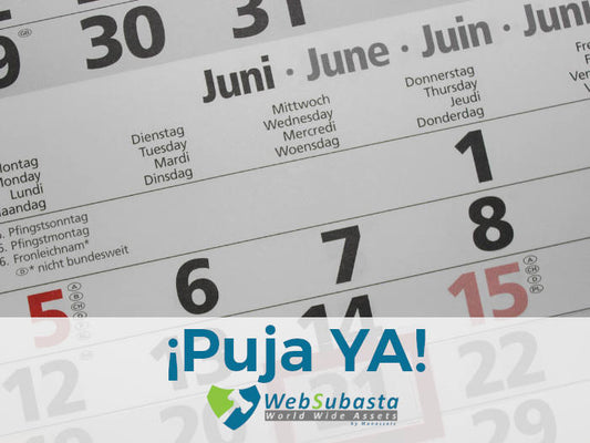 No dejes para más tarde la puja