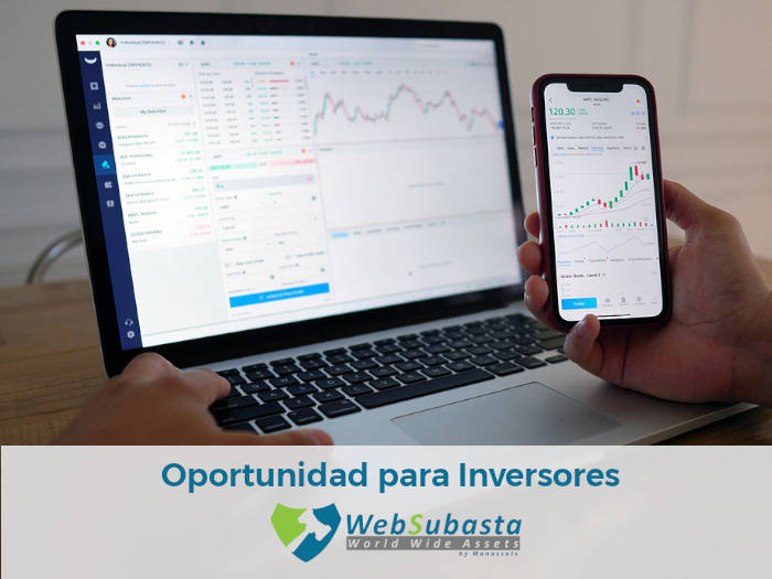 Subastas online para inversores