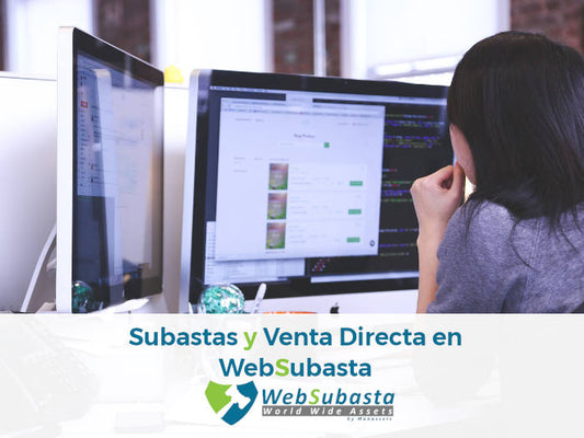 Busca en WebSubasta lo que necesites