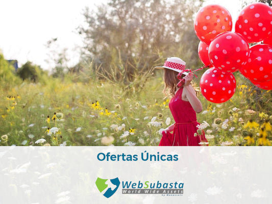 Ofertas únicas en WebSubasta