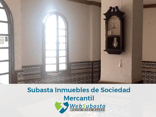 Subastamos inmuebles de sociedad mercantil