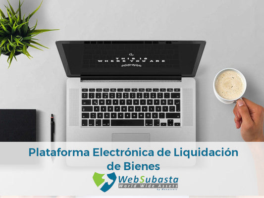 Plataforma Electrónica de Liquidación de Activos: luces y sombras