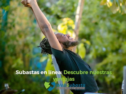 Subastas en línea de WebSubasta