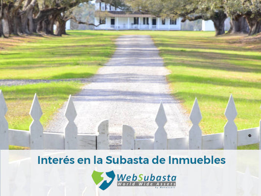 Razones para visitar WebSubasta