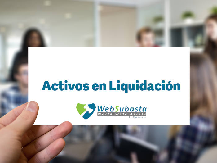 Venta Directa de 7 lotes de activos de Memcas S.L. en Liquidación